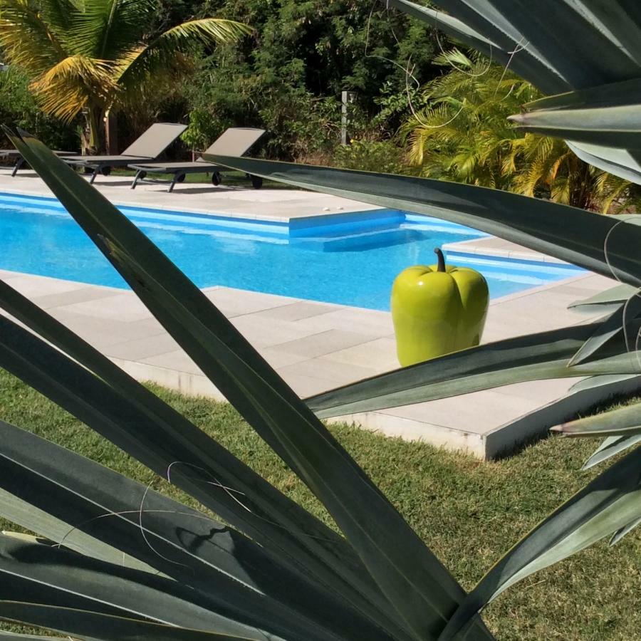 Gite Les Jardins D'Enoha Anse-Bertrand Exterior foto